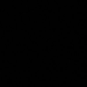 Meet your Posher, Diego